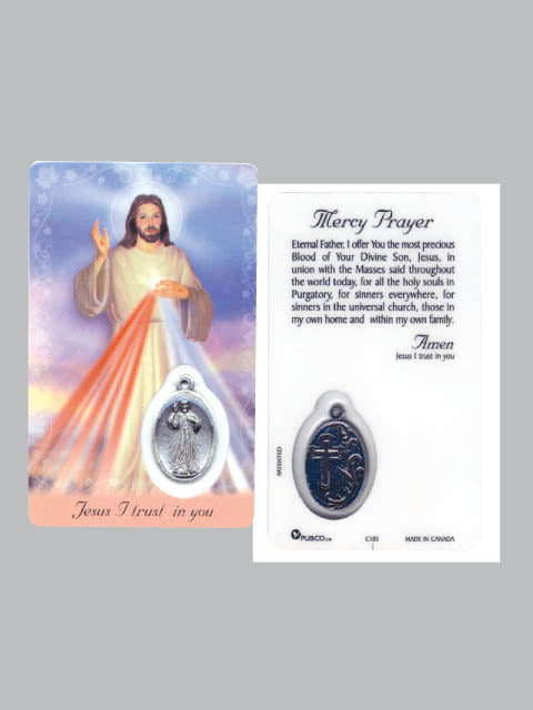 Divine Mercy Laminated Prayer Card