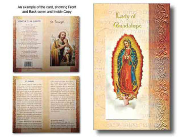 Biography of Our Lady of Guadalupe