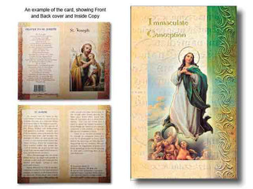 Biography of Immaculate Conception