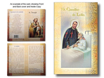 Biography of St. Camillus de Lellis